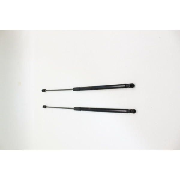 Par Amortecedor Tampa Traseira Ford Focus Hatch 2018