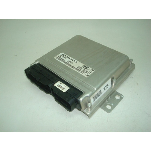 Módulo Injeção Hyundai Tucson 2.0 16v 2010 Gas Aut 5wy4635a