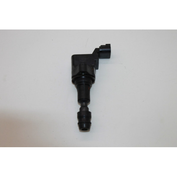 Bobina De Ignição Gm Captiva 2.4 16v 12638824 / 099700-1900