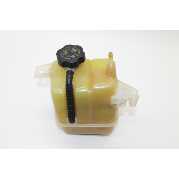 Reservatório Agua Radiador Gm Captiva 2.4 2011 20813489