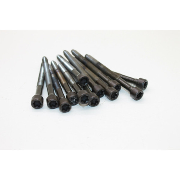 Jogo Parafuso Cabeçote Vwjetta 2.5 5cc 2010