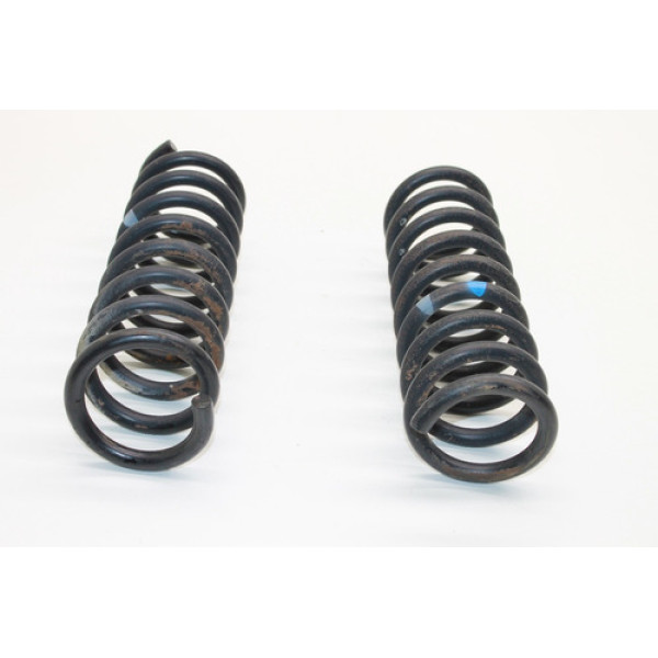 Par Molas Traseiras Mercedes C280 1996 2023242004