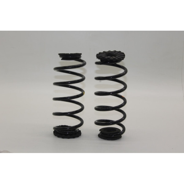 Par Molas Traseiras Fiat Grand Siena 1.4 2015